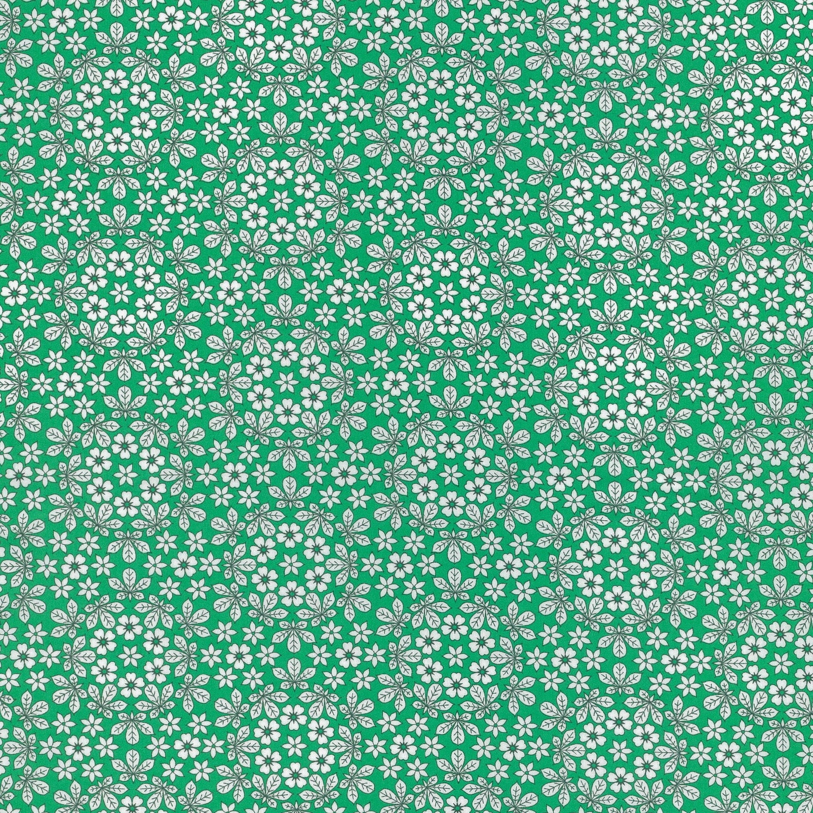 Floral Journey II Collection