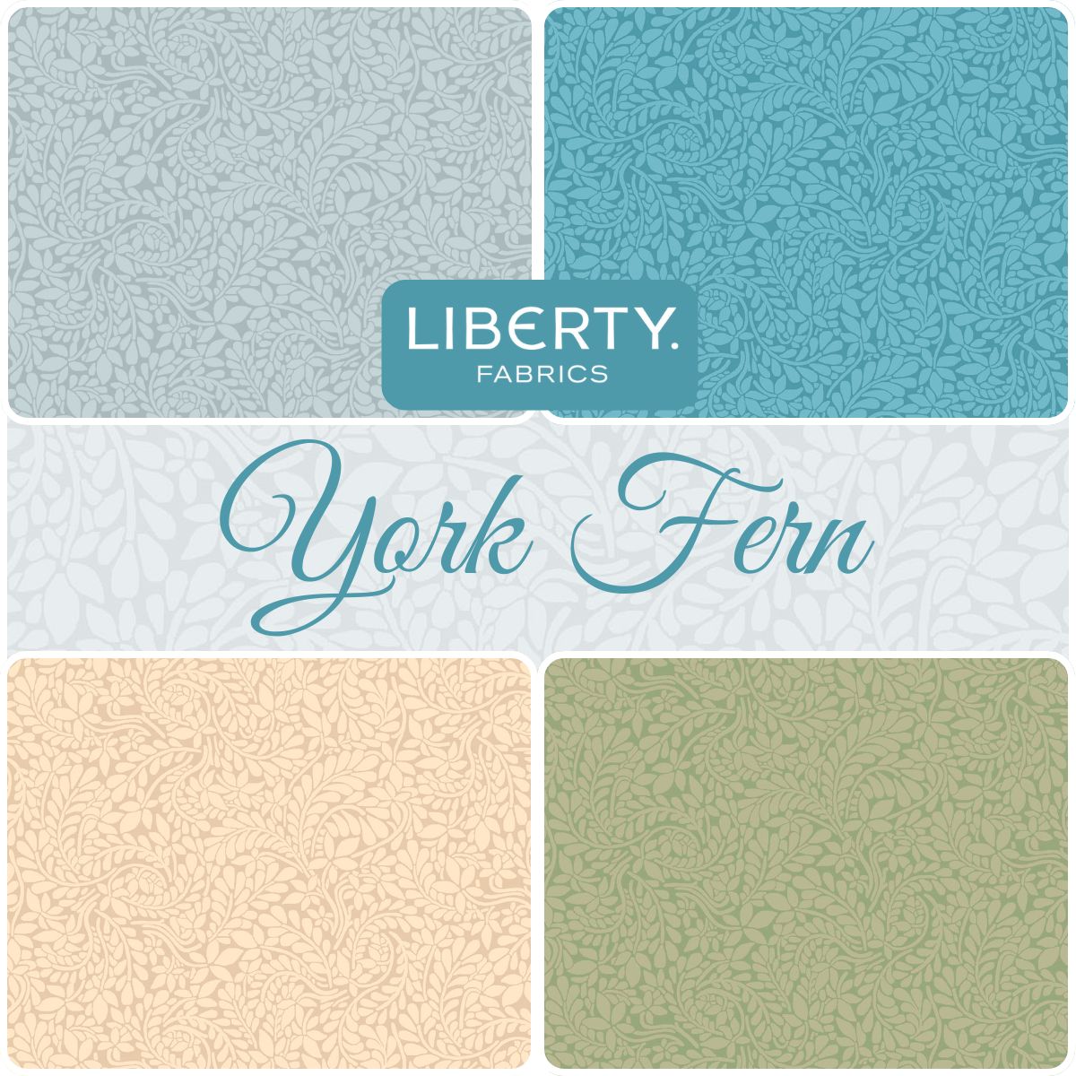 York Fern