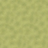 Star of Light Dots Green
