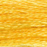 Mouliné Spécial Embroidery Thread - Oranges