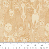 Barnyard Faces in Hay