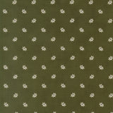 Green with Cream Poinsettia