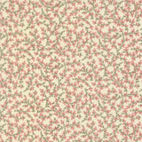Cream with Red Berry Trailing Vine
