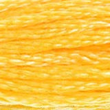 Mouliné Spécial Embroidery Thread - Oranges