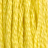 Mouliné Spécial Embroidery Thread - Yellows