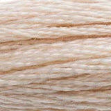 Mouliné Spécial Embroidery Thread - Brown
