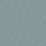 Twinkle Little Stars Sky Adventale