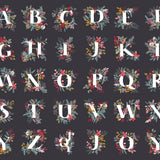 Jingle All the Letters Panel Adventale