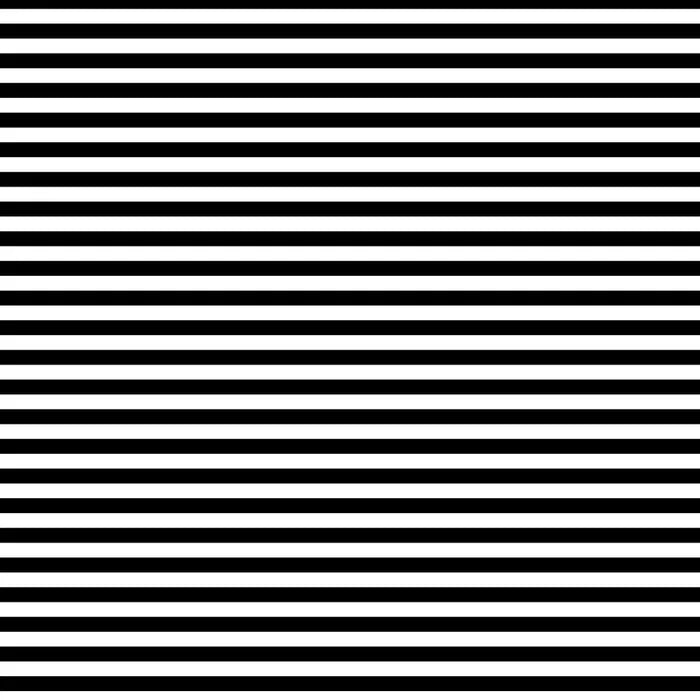 Black and white quilting cotton fabric featuring evenly spaced horizontal stripes, with each black and white stripe measuring approximately one quarter inch.