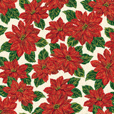 Main Cream Foil Poinsettias at Christmas