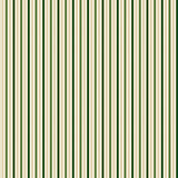 Stripe Green Foil Poinsettias at Christmas