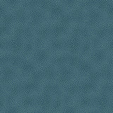 Star of Light Dots Teal