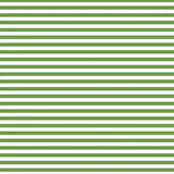 Fundamentals 1/4" Stripe Crocodile
