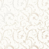 Scroll - Pearl on Soft White