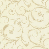 Elegant Scroll Ivory Lace