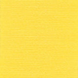 Rasant 1000m Polyester Core Cotton Thread
