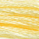 Mouliné Spécial Embroidery Thread - Yellows