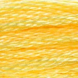 Mouliné Spécial Embroidery Thread - Oranges