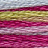 Mouliné Coloris Embroidery Thread