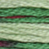 Mouliné Coloris Embroidery Thread
