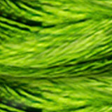Mouliné Satin DMC Embroidery Thread