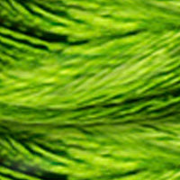 Mouliné Satin DMC Embroidery Thread