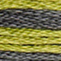 Mouliné Coloris Embroidery Thread