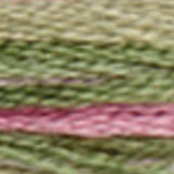 Mouliné Coloris Embroidery Thread