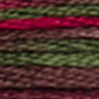 Mouliné Coloris Embroidery Thread