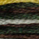 Mouliné Coloris Embroidery Thread