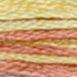 Mouliné Coloris Embroidery Thread