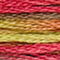 Mouliné Coloris Embroidery Thread