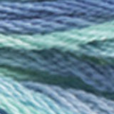 Mouliné Color Variations DMC Embroidery Thread