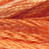 Mouliné Color Variations DMC Embroidery Thread