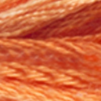 Mouliné Color Variations DMC Embroidery Thread