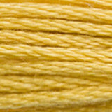 Mouliné Spécial Embroidery Thread - Yellows