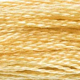 Mouliné Spécial Embroidery Thread - Oranges