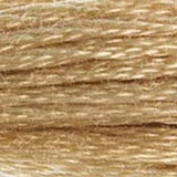 Mouliné Spécial Embroidery Thread - Brown