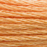 Mouliné Spécial Embroidery Thread - Oranges