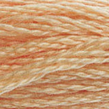 Mouliné Spécial Embroidery Thread - Oranges