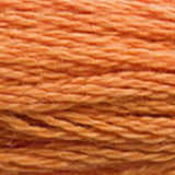Mouliné Spécial Embroidery Thread - Oranges