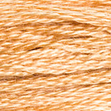 Mouliné Spécial Embroidery Thread - Brown