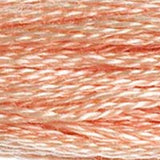 Mouliné Spécial Embroidery Thread - Brown