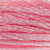 Mouliné Spécial Embroidery Thread - Pinks
