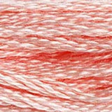 Mouliné Spécial Embroidery Thread - Pinks