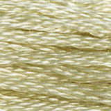 Mouliné Spécial Embroidery Thread - Brown