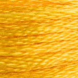Mouliné Spécial Embroidery Thread - Oranges