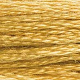 Mouliné Spécial Embroidery Thread - Brown