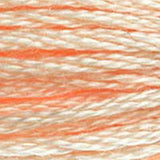 Mouliné Spécial Embroidery Thread - Oranges