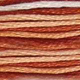 Mouliné Spécial Embroidery Thread - Brown